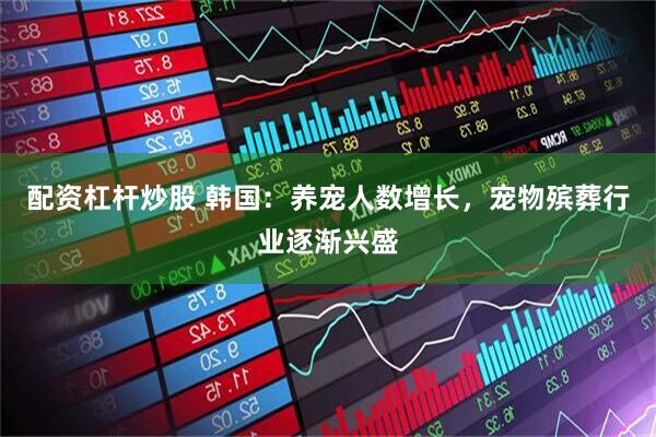 配资杠杆炒股 韩国：养宠人数增长，宠物殡葬行业逐渐兴盛